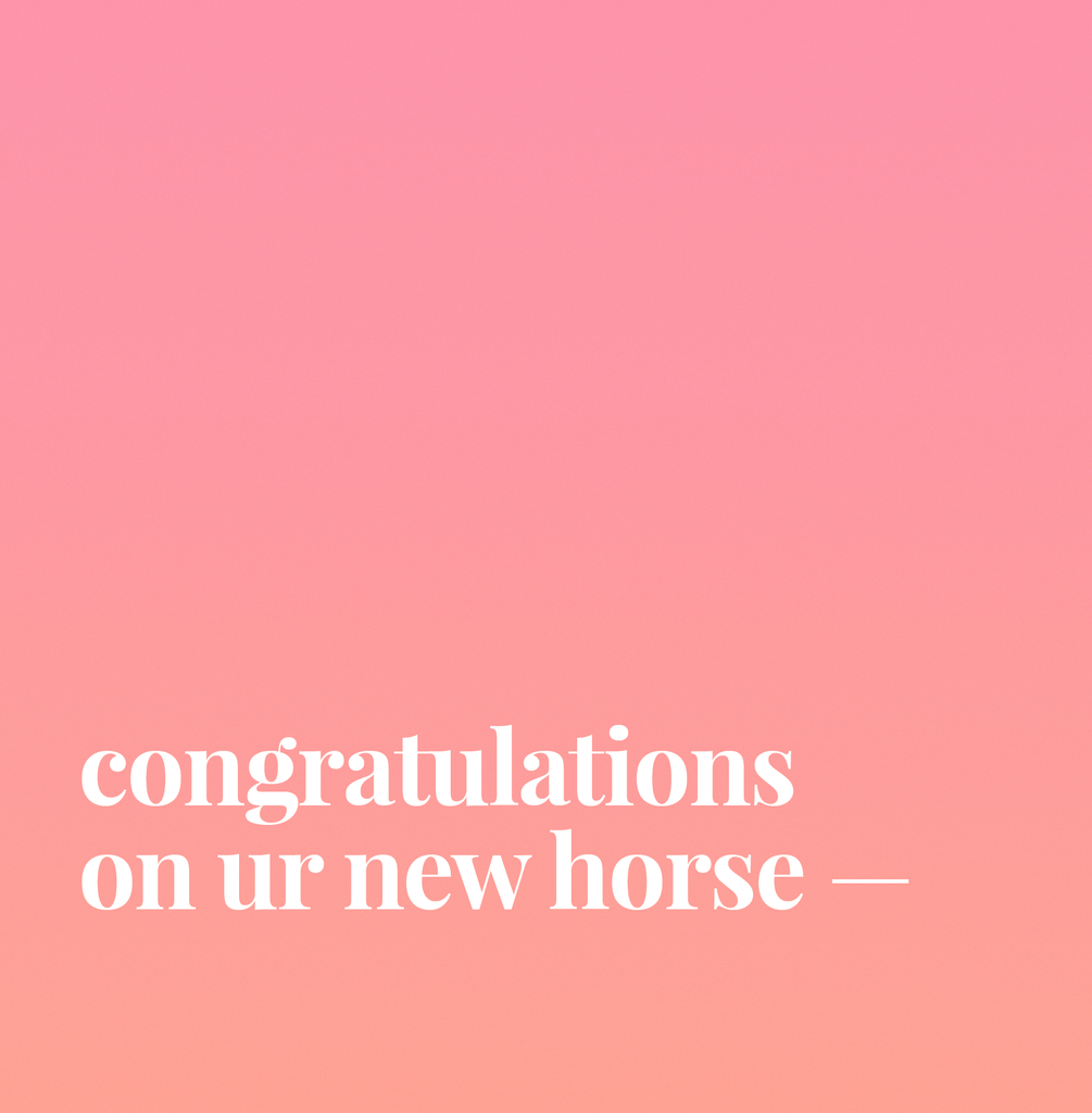 Congratulations On Ur New Horse.
