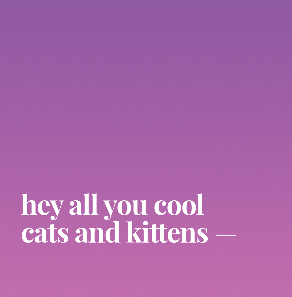 Hey All You Cool Cats And Kittens.