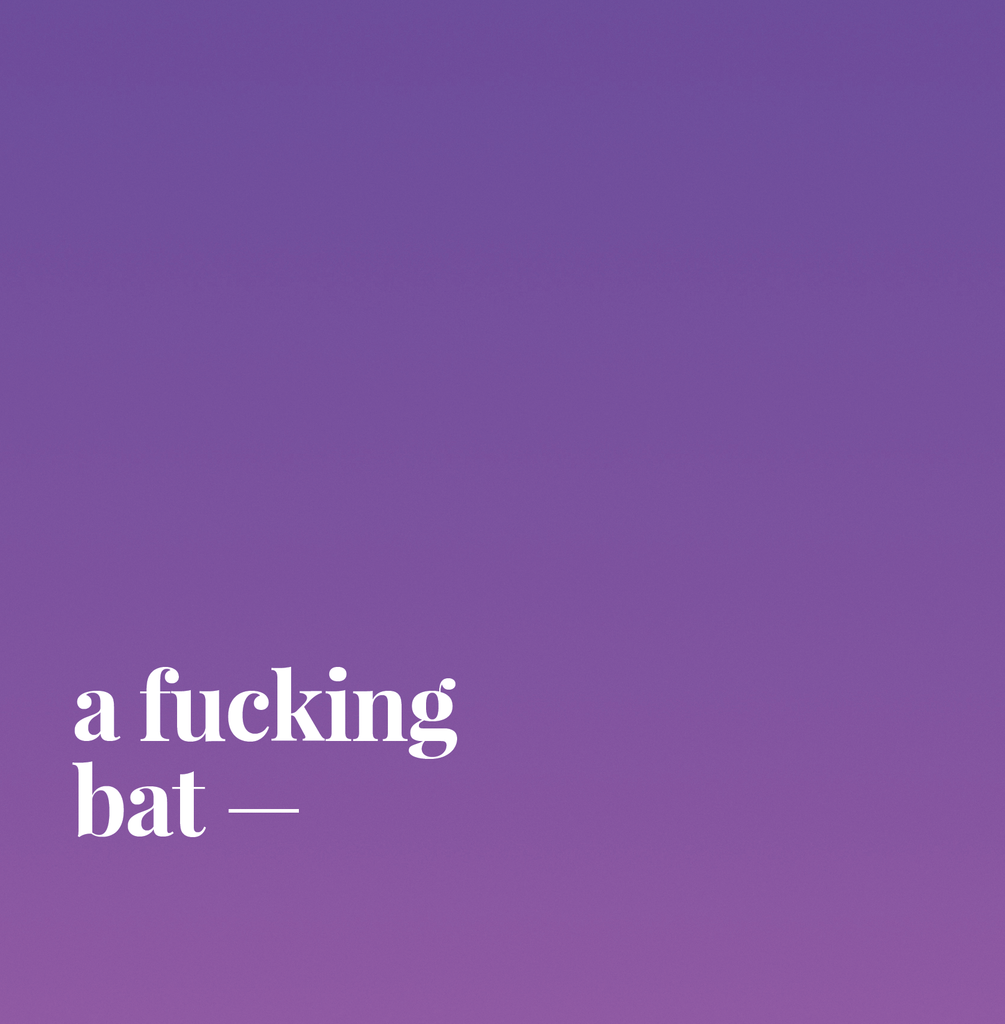 A Fucking Bat.